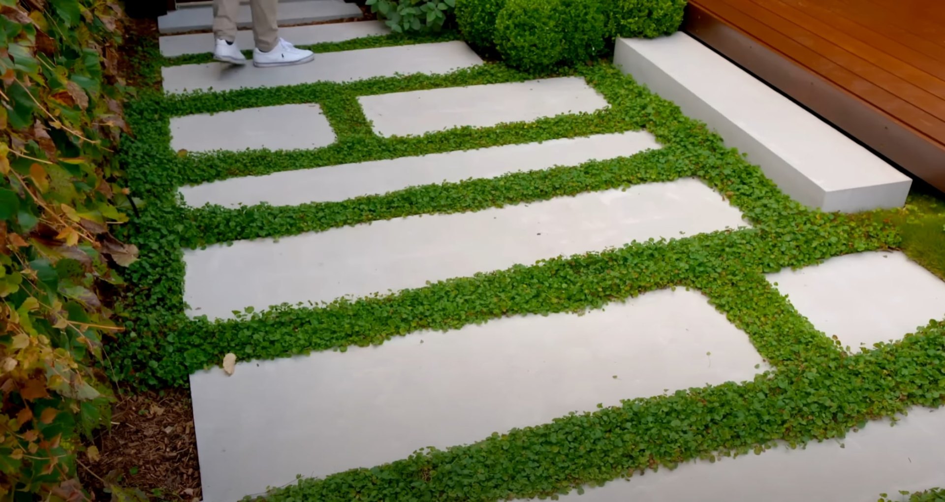 Modern stepping stone pathway with ground cover plantings and contemporary design